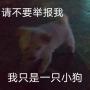 小果冻榨汁历险记