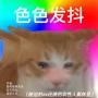 拍av的双性人妻受
